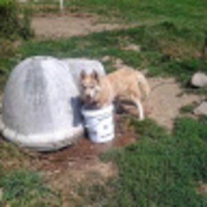 Meet your Posher, Kylee